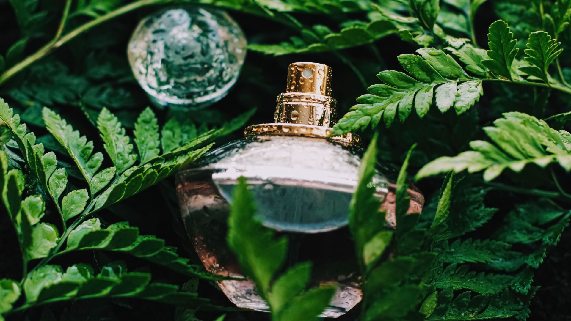 RSK Perfums